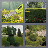 LawnBlade™ Hassle-Free Landscaping