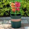 PlantLift™ Growth Support System